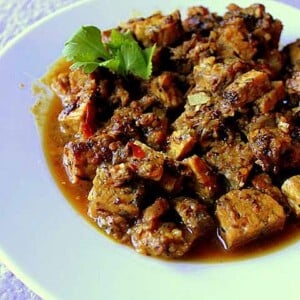 Fake chicken curry served on a white plate with a green garnish