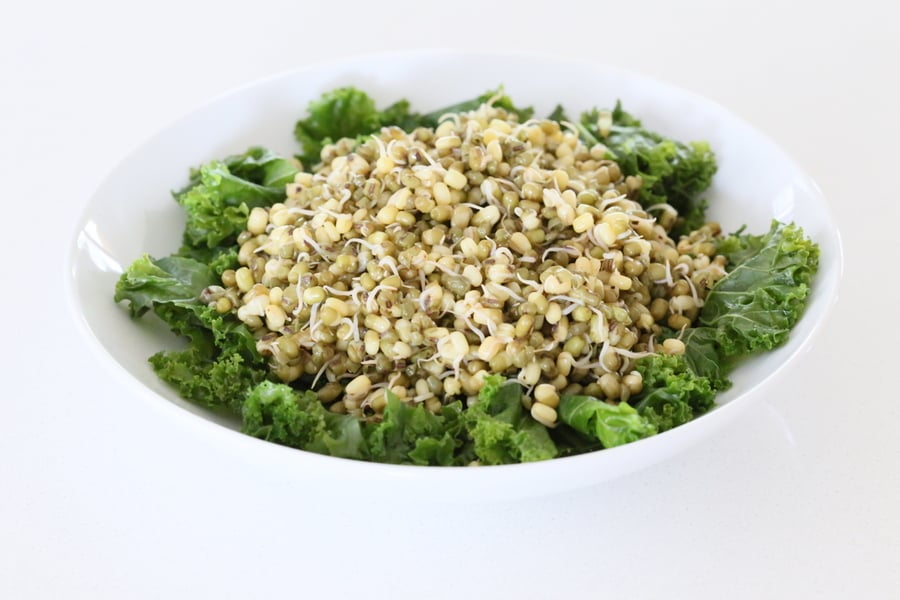 kale salad recipe massaged kale being topped with sprouted mung beans
