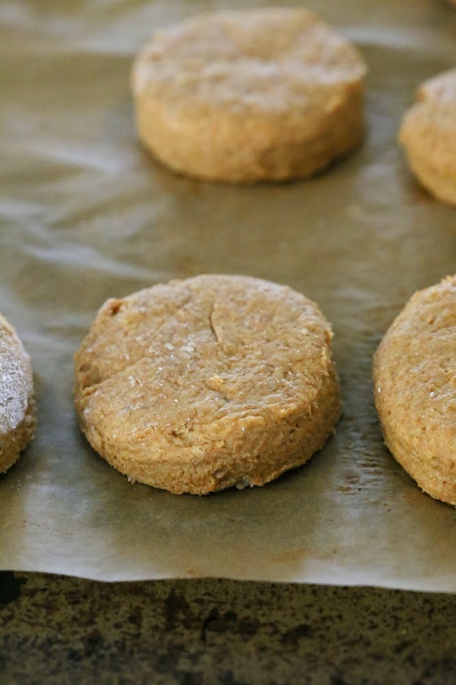 sweet potato biscuits unbaked sweet potato biscuits on a sheet pan ready to be baked