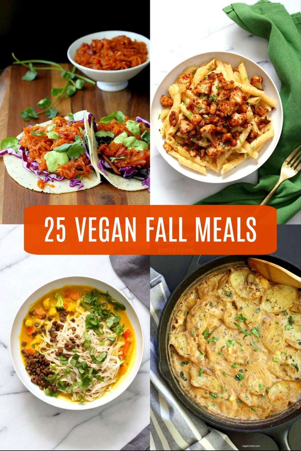25 Vegan Fall Meals for a chilly day! Casseroles, chilis, gratins, pot pies, soups, and curries. Many are 1 Pot meals. Vegan Fall Recipes. Gluten-free Soy-free options. #veganricha
