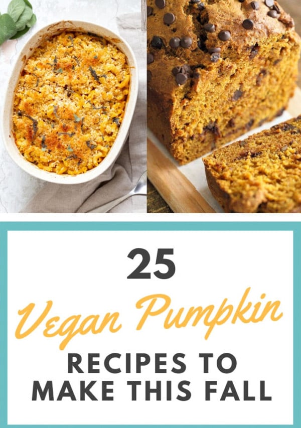 25 Vegan Pumpkin Recipes to Make this Fall. Pumpkin Crumb Cake, Bread, Muffins, Salad, Chili, Pasta, Pumpkin Cinnamon Rolls and More.ย | VeganRicha.com