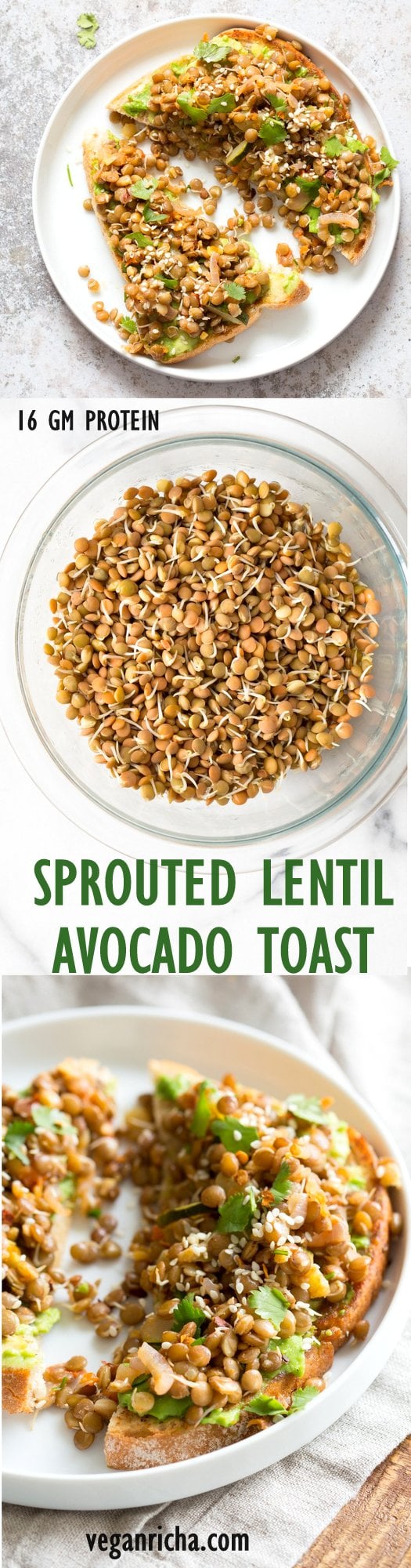 Ginger Coriander Sprouted Lentil Avocado Toast. Sprout Lentils of Mung Beans, Lightly saute with ginger, onion and tomato and serve over Mashed Avocado Toast. #Vegan #veganricha #Nutfree #Soyfree #Recipe | VeganRicha.com
