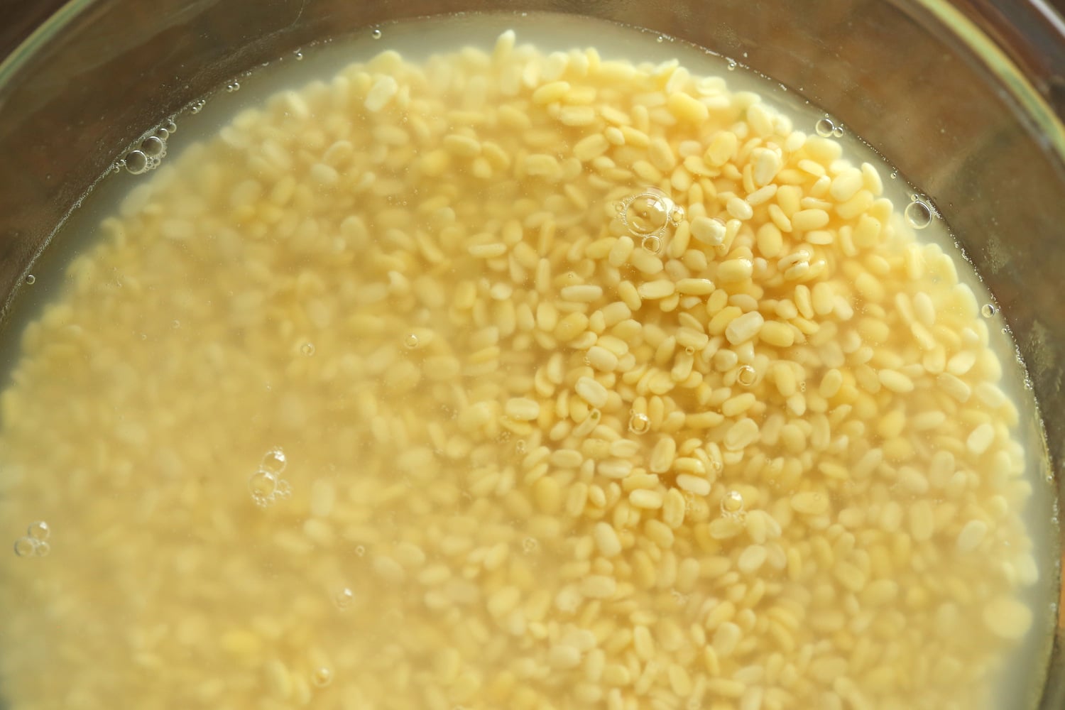 Soaked Moong Dal in a glass bowl