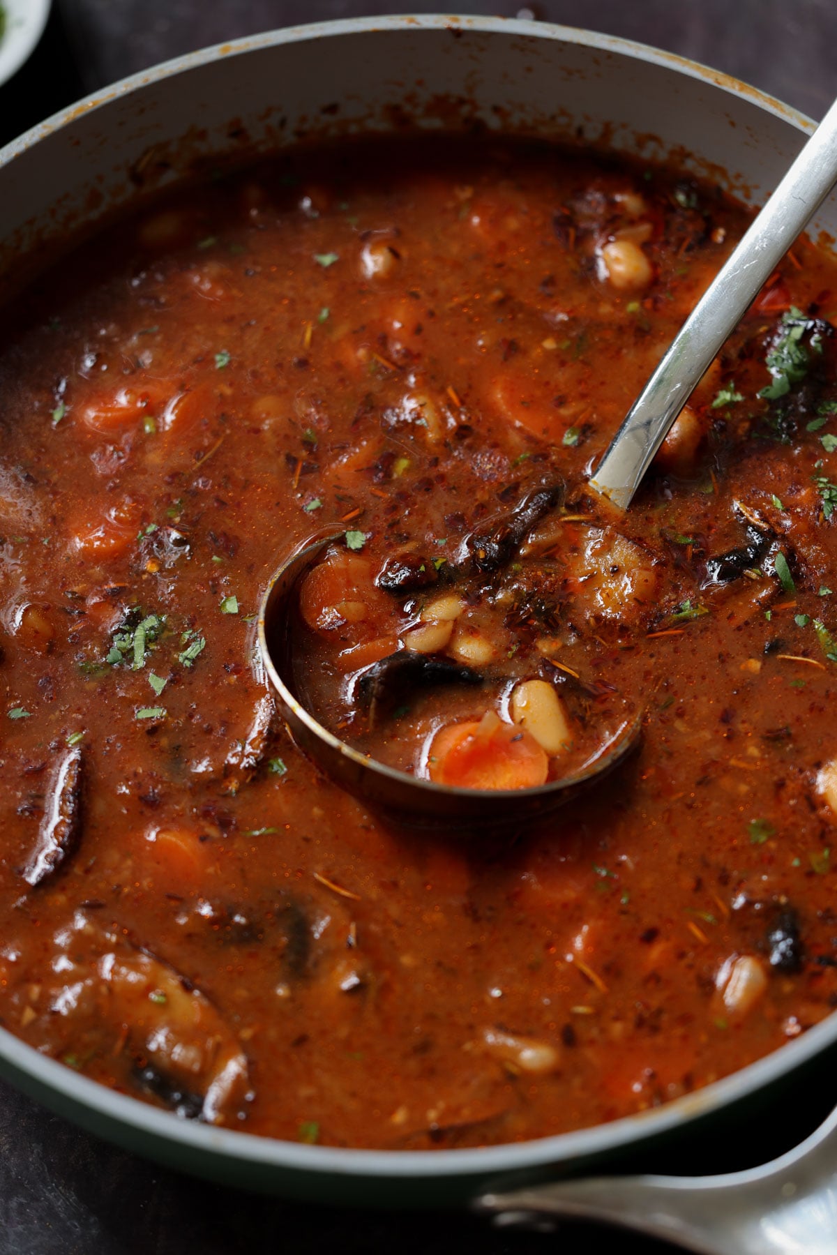 pot of veggie bean stew with a ladle in it